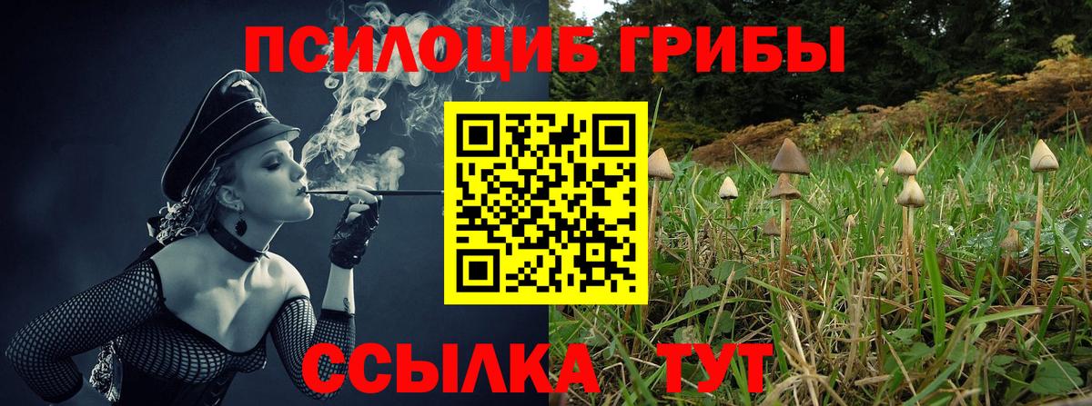Псилоцибиновые грибы Cubensis  Галлюциногенные грибы прущие грибы  Вход с VPN  где купить наркоту  Коммунар 